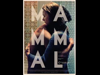 porn млекопитающее mammal 2016 ирландия hd