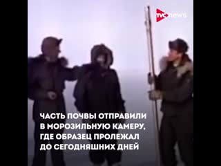 porn древние растения подо льдами гренландии hd