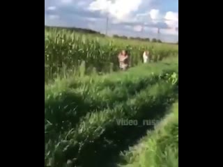 porn вписка копы копы сваливаем кукурузка нас засекли бросай их новых найдём полиция шухер hd