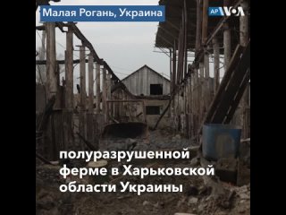 porn украинская ферма возвращается к работе после освобождения hd