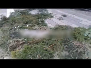 porn в германии молодые святое семейство hd