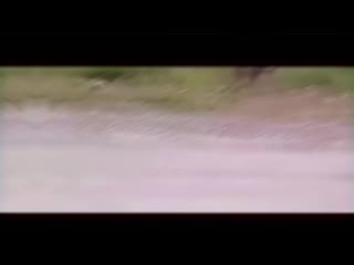 porn получил пизды на забиве от лютого забив оф спартак hd