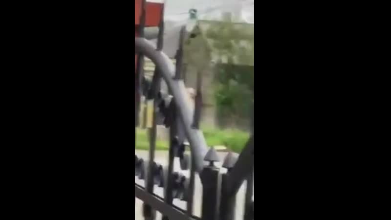 porn в салехарде пара занялась сексом возле памятника hd