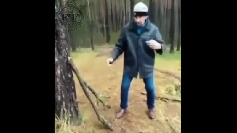 porn мое кунг фу сильней твоего кунг фу hd