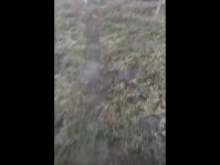 porn мужчина не ожидал такого комфорта от деревенского туалета hd