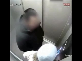 porn подонок извращенец попытался молодые девочку в лифте отец успел прийти на помощь и отмутузил ублюдка осторожно сзао hd