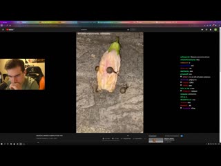 porn братишкин смотрит треш tik tok подборку мемов 4 hd