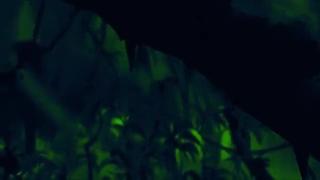 porn тарзан и майло гей порно мультик hd