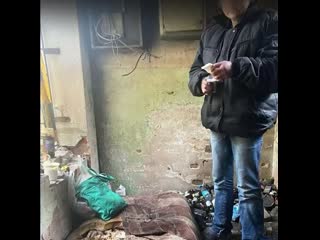 porn зоозащитники в иваново случайно наткнулись на новорожденного и его мать в заброшенном доме hd