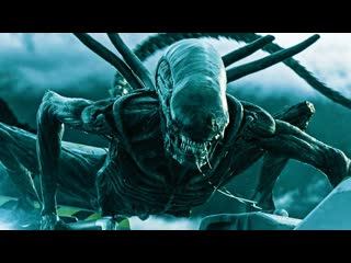 porn прометей prometheus чужой завет alien covenant 2012 2017 год неоморф ксеноморф пришелец грудолом особь hd