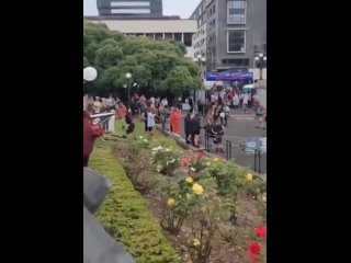 porn здание парламента в новой зеландии полностью оккупировали протестующие заблокировав все выходы hd