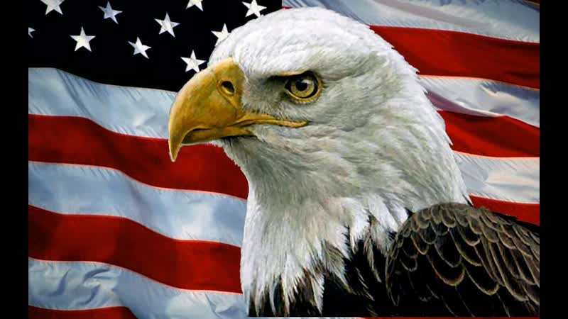 porn саня во флориде взлетели цены на еду в сша hd
