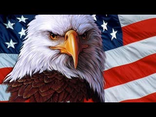 porn саня во флориде кремниевая долина очередная дичь usa сша санявофлориде саня во флориде hd