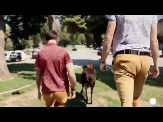porn нейросеть пытается создать молодые hd