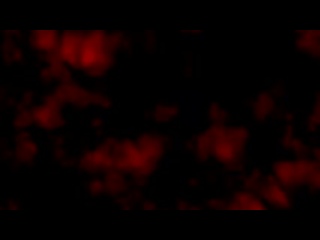 porn xhamster com 14526834 keptsecret le rompe el culo a daniel hausser bareback 240p mp4 hd