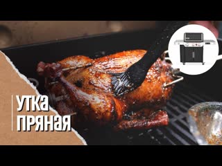 porn пряная утка на вертеле в газовом гриле weber genesis 335 праздничный рецепт hd