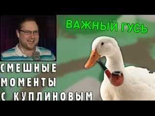 porn смешные моменты с куплиновым untitled goose game смешная нарезка dimaron hd