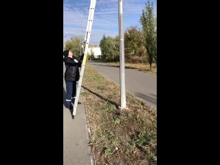 porn спасатели помогли сове застрявшей в фонарном столбе hd