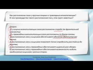porn реальные задания егэ зрение хищных и травоядных hd