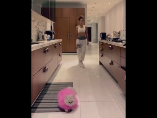 porn танцующая на кухне 47 летняя кэит бекинсэил hd
