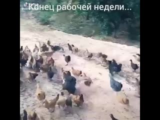 porn видео от любовь славянск на кубани hd