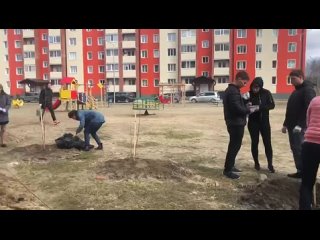 porn небольшой отрывок с посадок деревьев hd