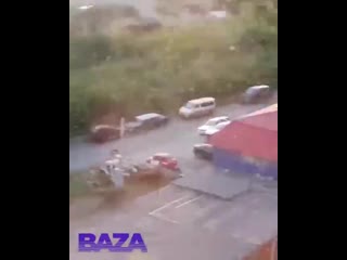 porn красноярск заполонили полчища насекомых hd