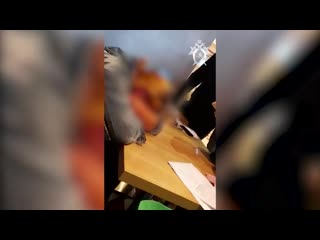 porn 24 летняя жительница дагестана приехала в москву чтобы родить и продать новорождённого ребёнка hd