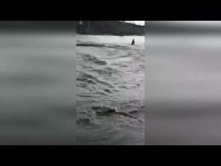 porn в башкирии мужчина спас девочку из воды куда ее смыло мощным паводком hd