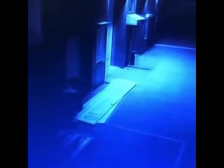 porn в приморье мужчина не прошёл фейс контроль в местный ночной клуб обиделся и решил его поджечь оставив покрышку у hd