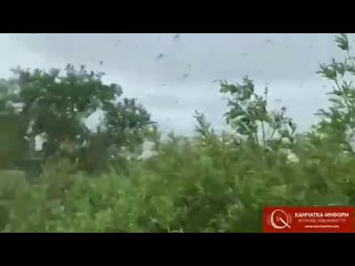 porn ничего необычного просто ежегодный наплыв комаров на камчатке листайте дальше hd