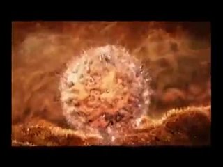 porn 9 месяцев за 6 минут путь ребёнка от зачатия до рождения hd