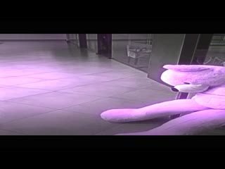 porn ебанутый зверь офник под спайсами до смерти молодыемедведя hd
