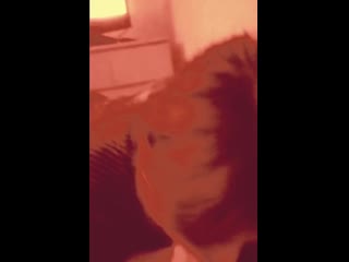 porn настя клыкова из москвы сосет младшему брату hd