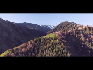 porn видео от реинкарнация память души и ее воплощения hd