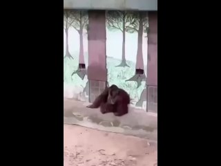 porn видео от реальное нереальное hd