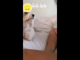 porn настя каменских на мгновенье засветилась без трусиков hd