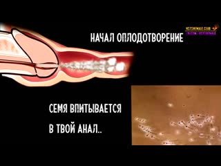porn shemale sissy maker sissy maker sissyboy shemale school гипноз и мотивация для сисси на русском 6 hd