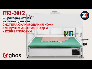 porn автоматическая система сканирования натуральной кожи с модулем автоматической раскладки деталей кроя в периметр gbos hd