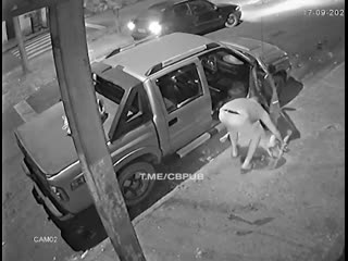 porn в бразилии муж зарезал свою жену прохожий не смог помочь женщине hd
