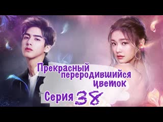 porn прекрасный переродившийся цветок beautiful reborn flower 3850 озвучка hmp hd