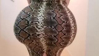 porn секс сосед давно уже мечтал трахнут эту жопасту соседку и в один день жестко выебал ее hd