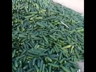 porn ого просто скажите такого соседа взять я бы тоже хотела такой подарочек получить hd
