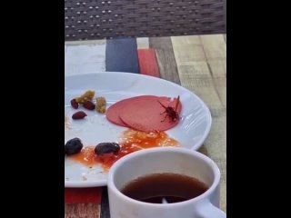 porn восточный шершень кушает колбасу hd