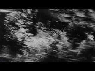 porn анита сандерс в фильме черное на белом комедияэротикаиталия1969 hd