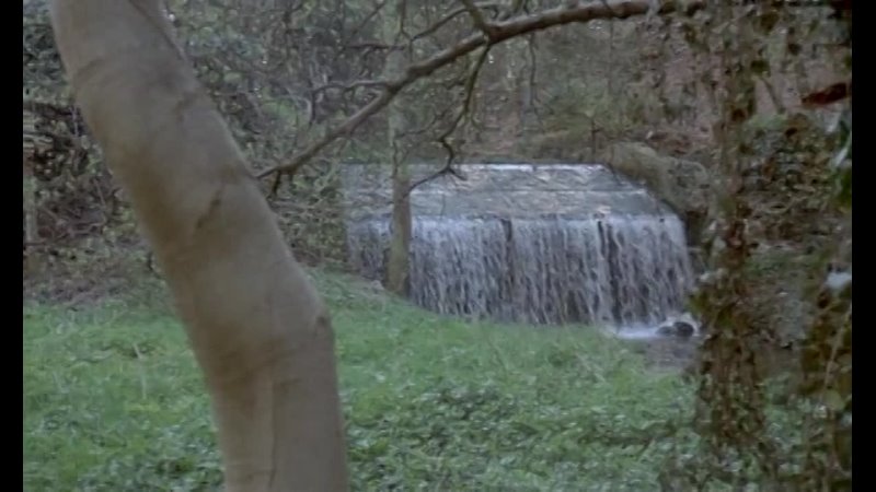 porn адриана асти в фильме призрак свободы драмакомедияфранция1974 hd