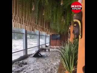 porn housporn vid 113460209 064225 669 hd