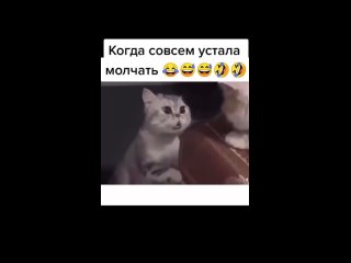 porn какая разговорчивая кошечка попалась выговорилась всё что накопилось в душе высказала hd