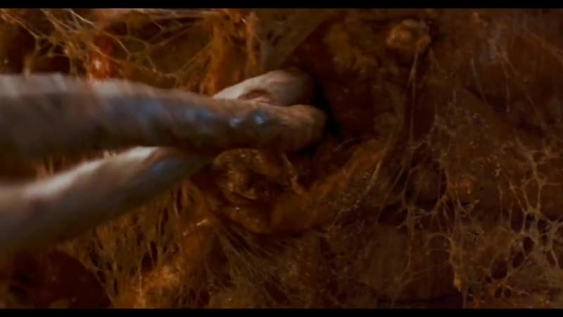 porn слизняк наверное ты жалеешь что не убежал тогда со мной в голливуд hd
