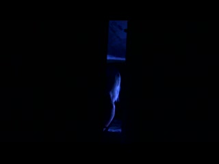 porn сексвайф изменяет на коленях в то время как муж рогоносец прячется и снимает все на видео минет измена куколд секс hd